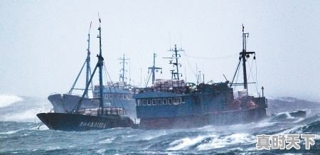 2、刮台风可以在家上班吗,台风天气要带多少钱才能出门 - 真时天下