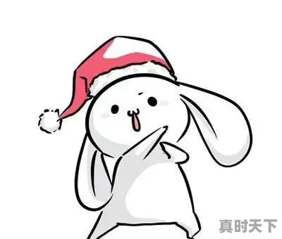 1、成龙电影大全列表,成龙最新电影大全完整版免费 - 真时天下