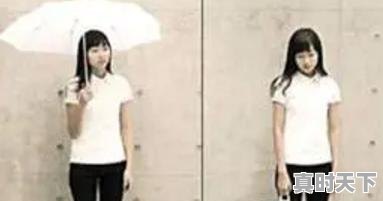 3、科学家在大自然有灵感发明的东西是什么,科技创新发明灵感 - 真时天下