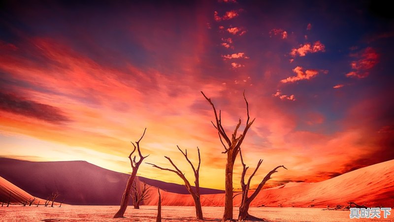 谁知道校园，魔法，吸血鬼，美少女的动漫片啊，动漫推荐美女吸血鬼电影有哪些名字 - 真时天下