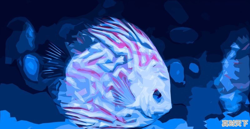 武汉下周有中到大雪的天气吗,武汉今天天气情况 - 真时天下