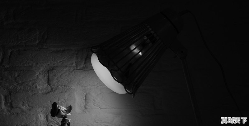 1、2022年春节档电影排行,2022最新电影动画片推荐 - 真时天下