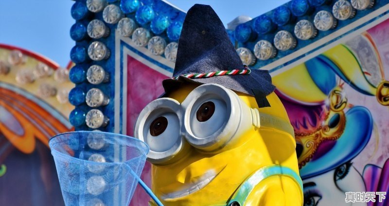 1、2022春节电影动画片排行榜,2022最新电影动画片有哪些 - 真时天下