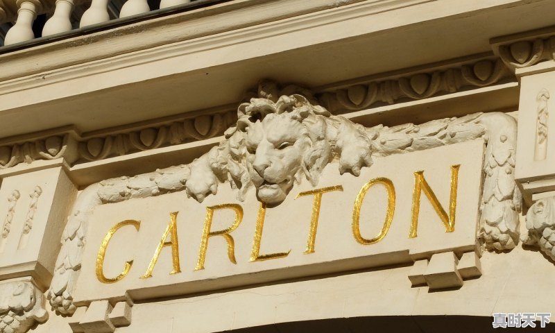 1、戛纳电影节每年什么时候举办,戛纳电影节新人奖获奖名单 - 真时天下