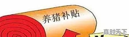 邹城钓鱼那里收费便宜，邹城黄金回收今日价格 - 真时天下