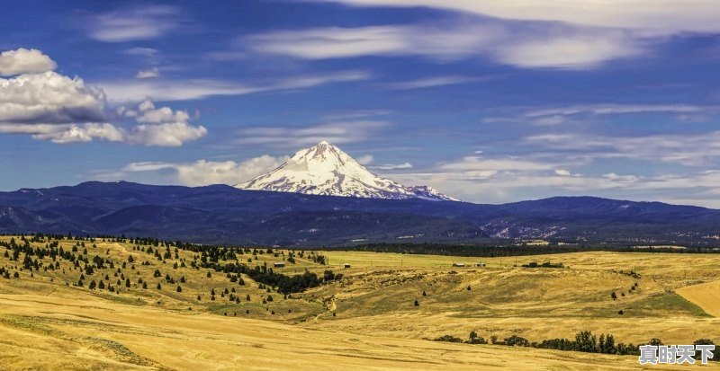 1、14款本田飞度二手车多少钱，沈阳自动飞度二手车 - 真时天下