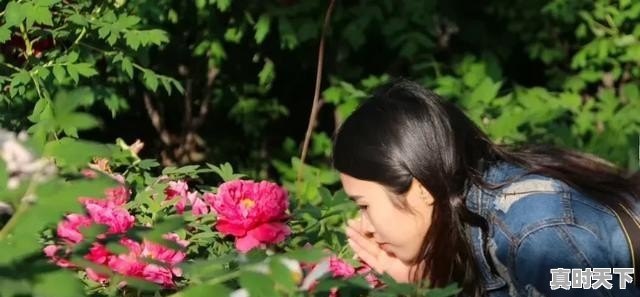 1、临汾小麦多少钱一斤,小麦今日价格走向分析 - 真时天下