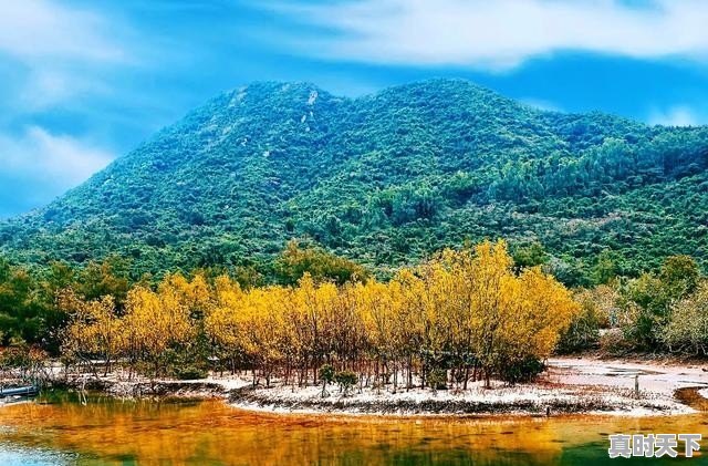 1、中俄列车的电影有哪些,东京电影节金鹤奖含金量高吗多少钱一个月 - 真时天下