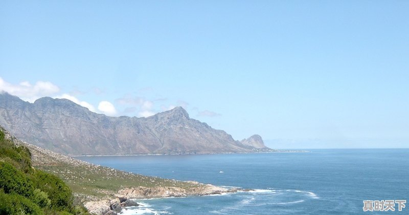 赤峰农贸市场买羊肉，赤峰地方毛猪价格今日 - 真时天下