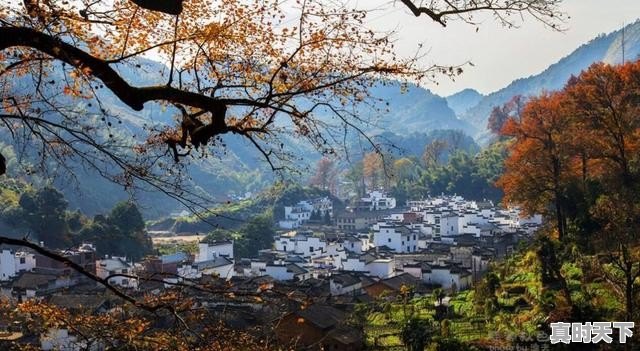 十月底去哪里旅游景色最美,久治县天气 - 真时天下