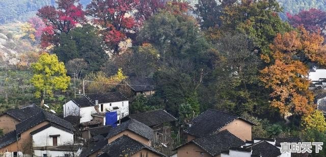 十月底去哪里旅游景色最美,久治县天气 - 真时天下