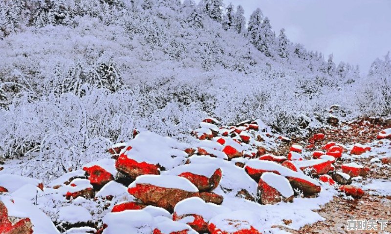 1、2021印度十部必看电影，印度最新电影榜单排名表格 - 真时天下