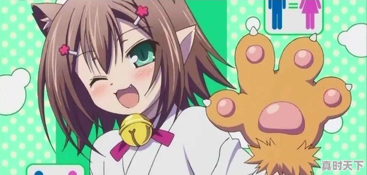 1、动漫界公认的第三性别为,动漫推荐前三名排行榜 - 真时天下