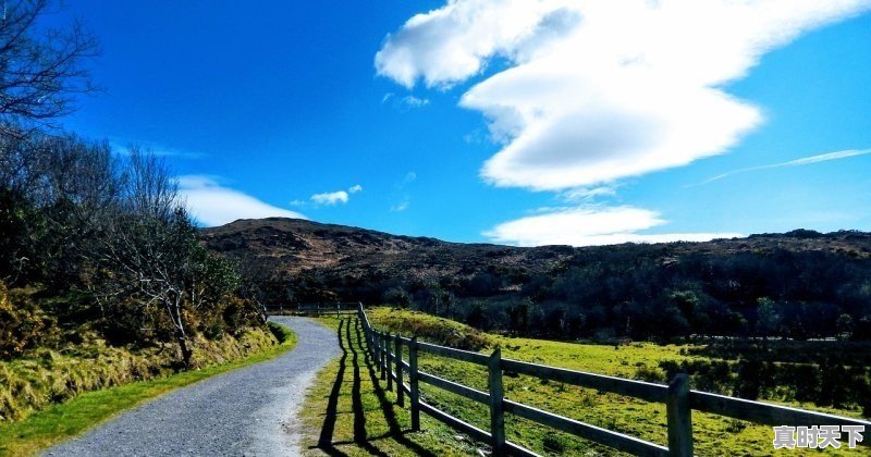 1、奥运会评委有报酬吗,电影节评委有酬劳吗 - 真时天下