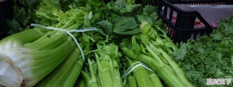 1、股票配资开户流程是怎么样的_小额配资是什么意思 - 真时天下