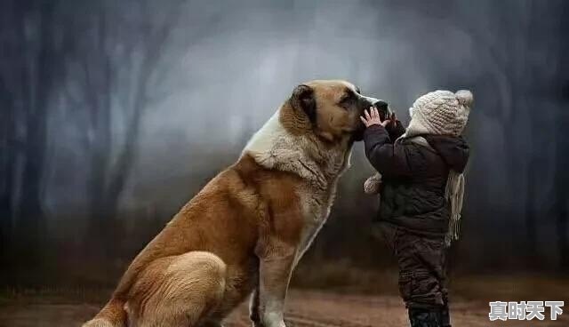 5、历史上的诸葛亮有哪些功绩_南昌为科技创新排兵布阵 - 真时天下