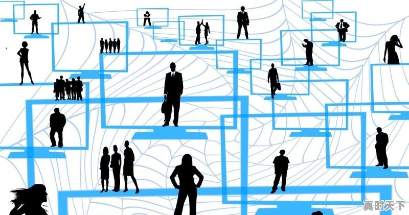 1、香蕉叶厚度,今日湛江香蕉的价格 - 真时天下