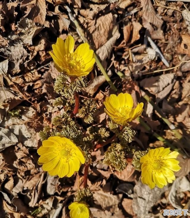 北京电影节获奖电影有哪些明星名单,北京电影节获奖电影有哪些明星名单 - 真时天下