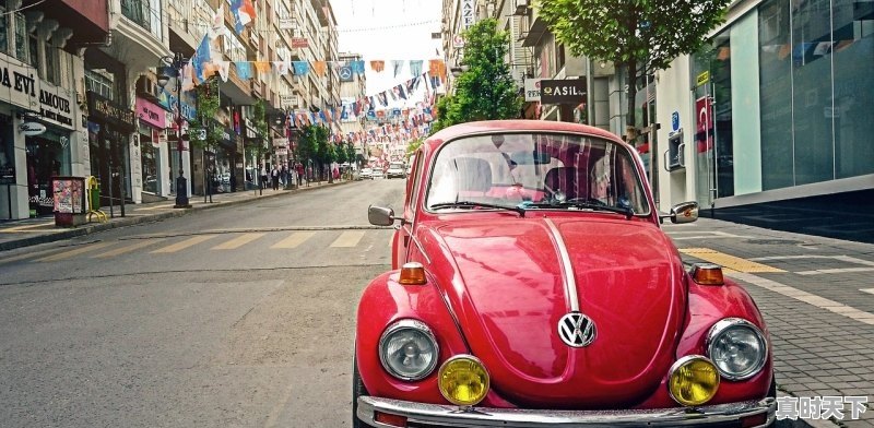 1、刘德华2022有几部电影,2022刘德华最新电影推荐大全 - 真时天下