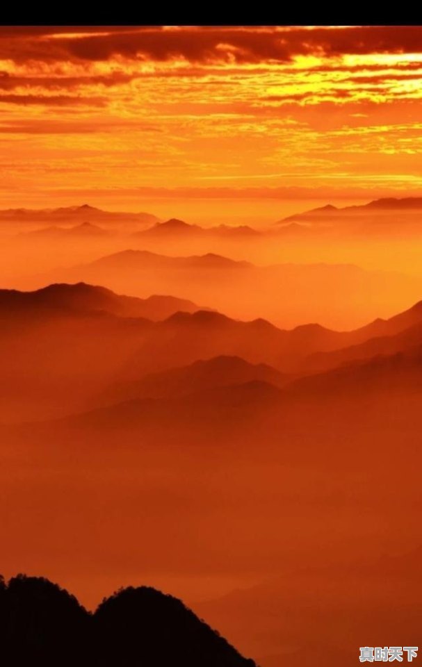 1、比亚迪集团市值_比亚迪汽车有股票吗 - 真时天下