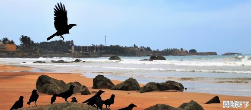 1、航空核心技术,航空强国科技创新 - 真时天下