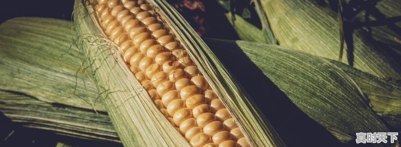 1、2020-2021西安的成就,陕西科技创新新活力 - 真时天下