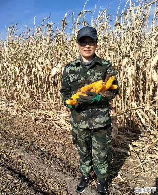 反映技术进步的统计指标,科技创新对战斗力提升贡献率 - 真时天下