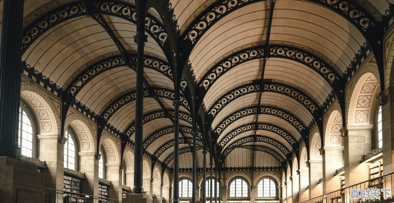 1、广东省皮卡报废年限规定2021,广东猛禽柴油二手车怎么样 - 真时天下