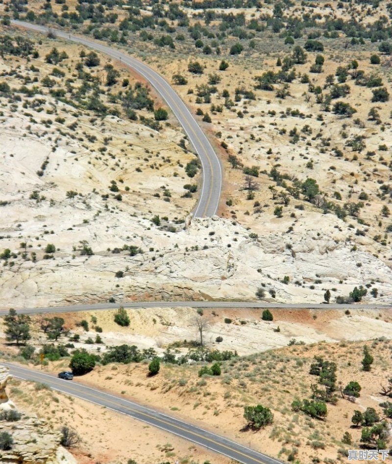 1、搜救电影什么时候上映_搜救电影是真实事件吗 - 真时天下