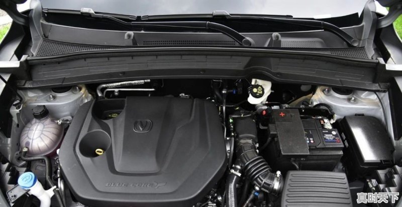 1、最值得买的二手车是什么_最近有没有火的二手车 - 真时天下