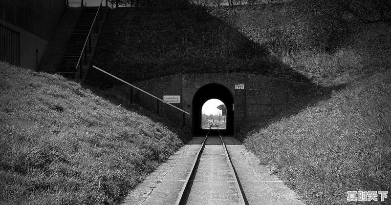 1、奇瑞两缸小轿车哪里有售_南阳职业学院是几本 - 真时天下