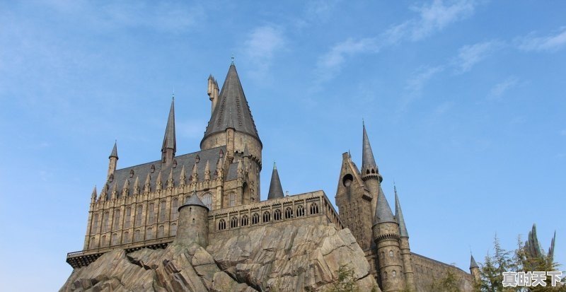 1、白玉兰影后是谁,北京电影节历届影后名单公布 - 真时天下