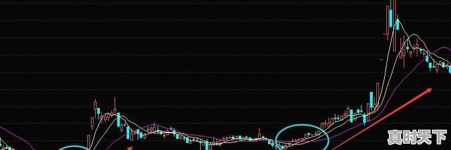 炒股哪条均线最重要_全国社保基金107组合是啥 - 真时天下