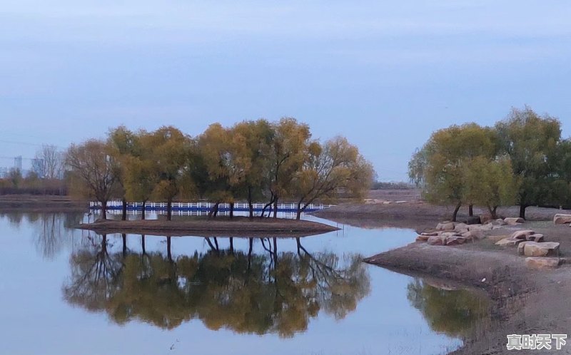 哈尔滨一年天气情况如何,1月哈尔滨天气 - 真时天下