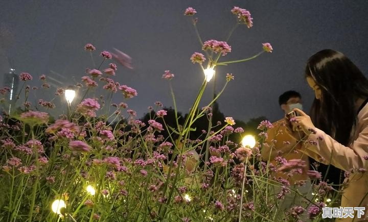 云南丽江9月10号到15号天气,丽江11月天气 - 真时天下