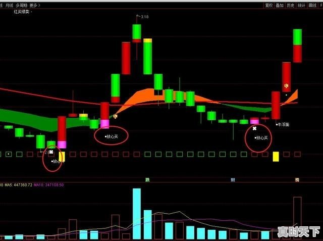 2023剑南春回收价，剑南春老酒回收今日价格 - 真时天下