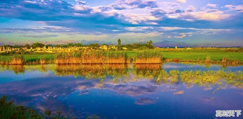 长春新天地电影城4月15日上演什么电影,长春电影院现在上映的最新电影有哪些 - 真时天下