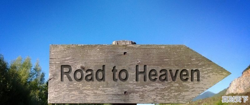 十大最强后宫漫画国漫_有哪些好看的正后宫动漫 - 真时天下