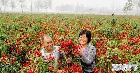 科研成果转化如何实现_创新成果转化中如何保护知识产权 - 真时天下