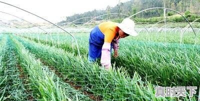 科研成果转化如何实现_创新成果转化中如何保护知识产权 - 真时天下