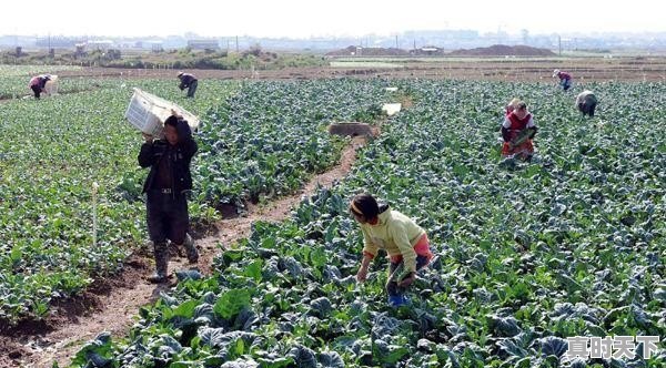 科研成果转化如何实现_创新成果转化中如何保护知识产权 - 真时天下