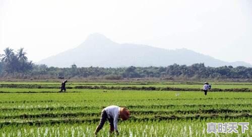 科研成果转化如何实现_创新成果转化中如何保护知识产权 - 真时天下