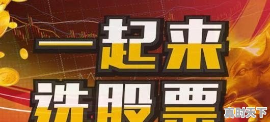 股票100股一般要多少钱,股票单价排行榜前十名 - 真时天下