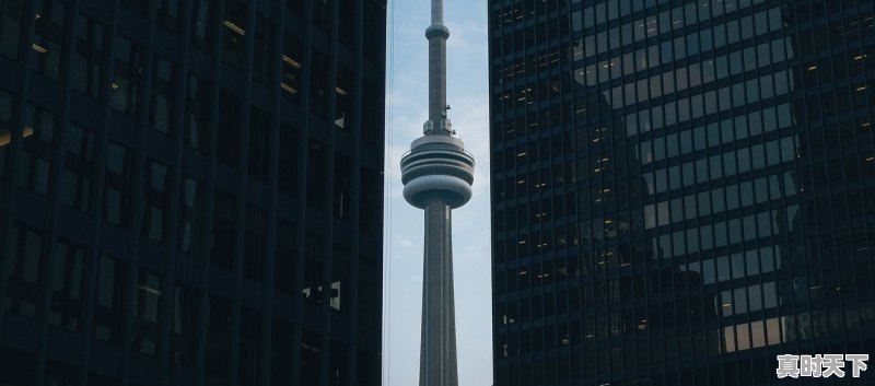 戛纳电影节最高的奖项是什么，戛纳电影节特别提名奖项有哪些 - 真时天下