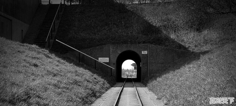 建设现代化经济体系是什么要求,加快建设实体经济、科技创新 - 真时天下