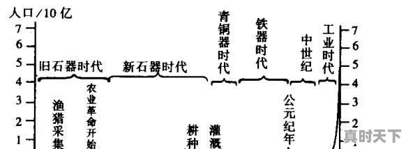 什么的实施，为促进乡村产业振兴，加强农业科技创新培育创新主体构建以什么为主体 - 真时天下