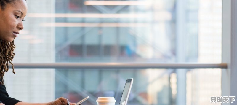 比亚迪e级能分到股份嘛，比亚迪股票有分红吗 - 真时天下