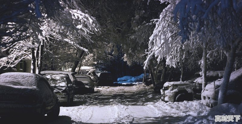 1、什么是技创板块,科技创新板正式推出 - 真时天下