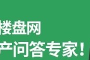 房价能挺住十年内不涨不降吗