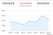 今日安丘玉米价格行情